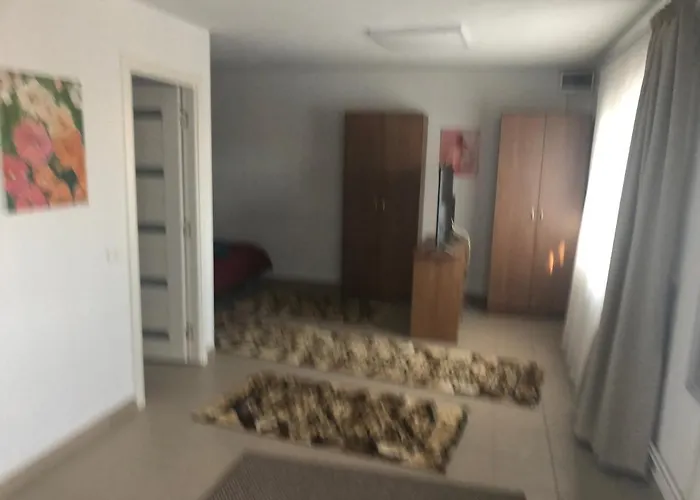 R31 - Victor Hugo Bam * Timişoara